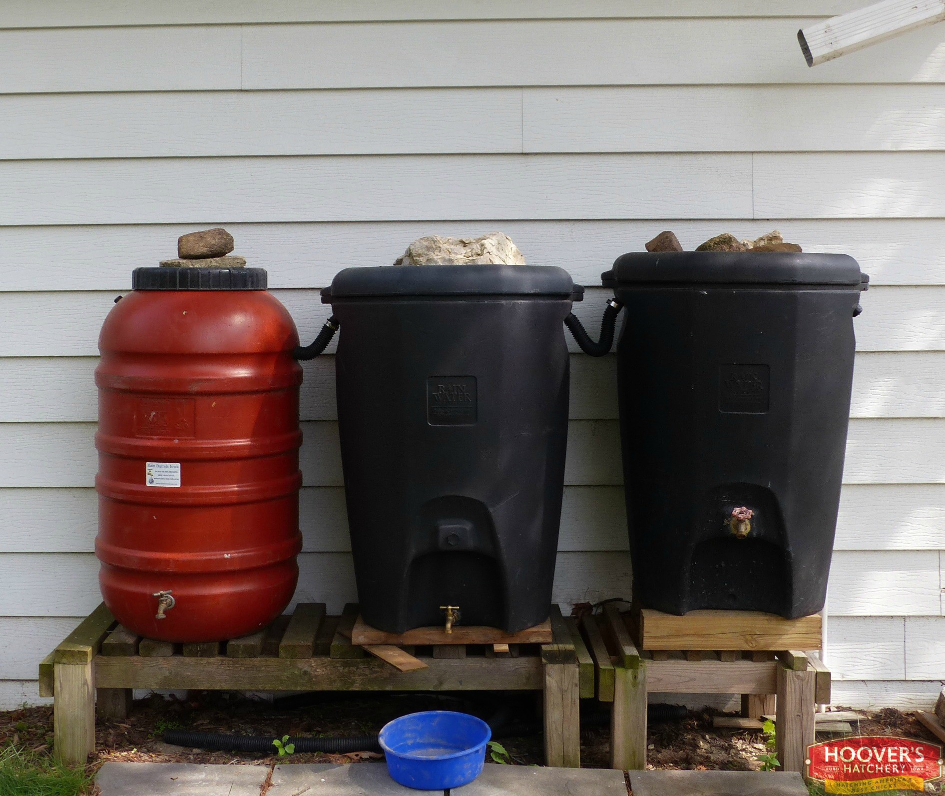Rain Barrels Yield Free Water News From The Coop